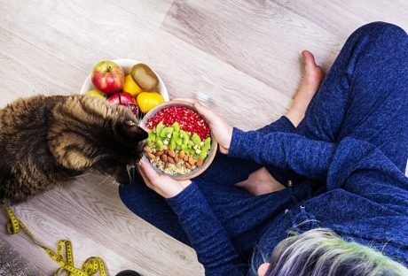 Benefits Of A Raw Cat Food Diet